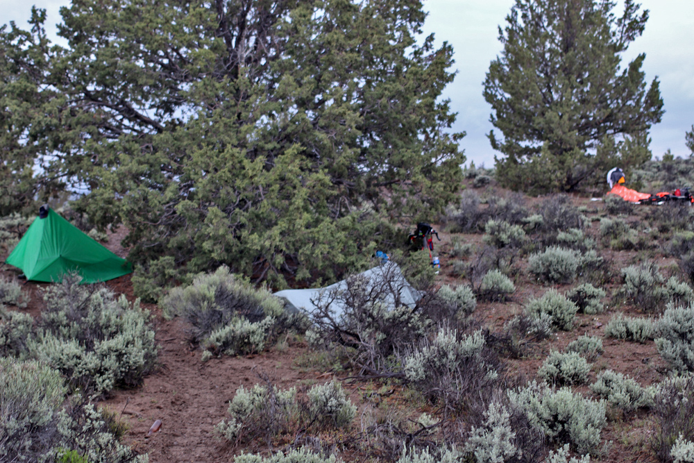  Brendan and Danny felt like taking it a bit easy about 70 miles in, so I hustled to meet up with Howard who was ahead somewhere. We met and rode to the Cowboy Dinner Tree, where we dined heartily with Scott from Seattle. After dinner we rolled another 25 miles or so in the dark until we were exhausted. We ducked under a barbed wire fence at the top of the hill between Fort Rock and Silver Lake and made camp. It rained steadily though the night and we broke camp under cold drizzle. 