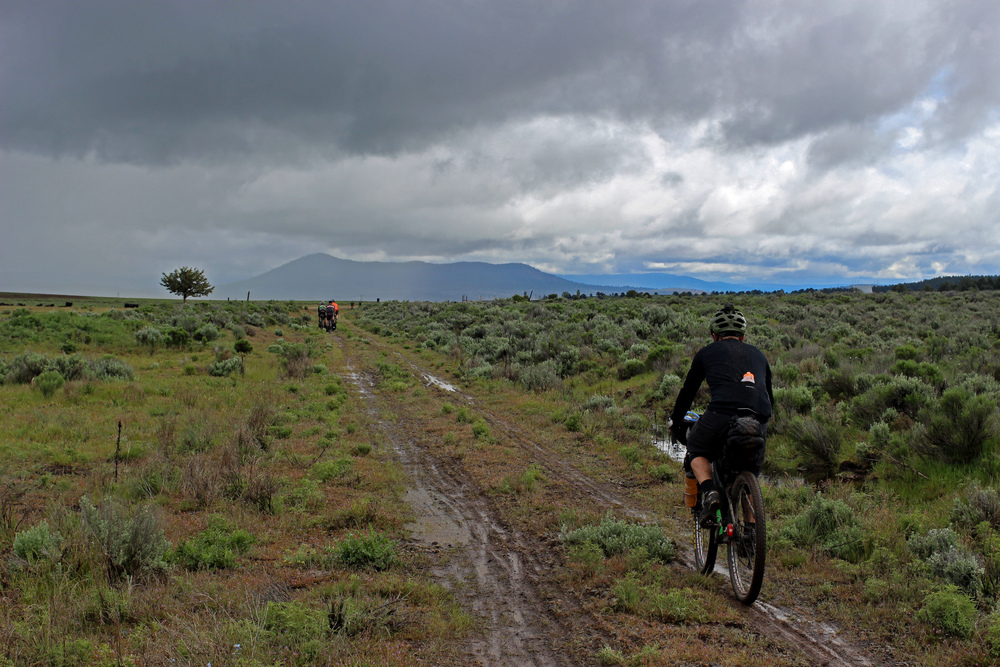  The OC&amp;E rail trail has a great roadbed, so it never gets too soggy. However much of the route is now cow pasture, so the top layer of mud is rich in "organic material." 